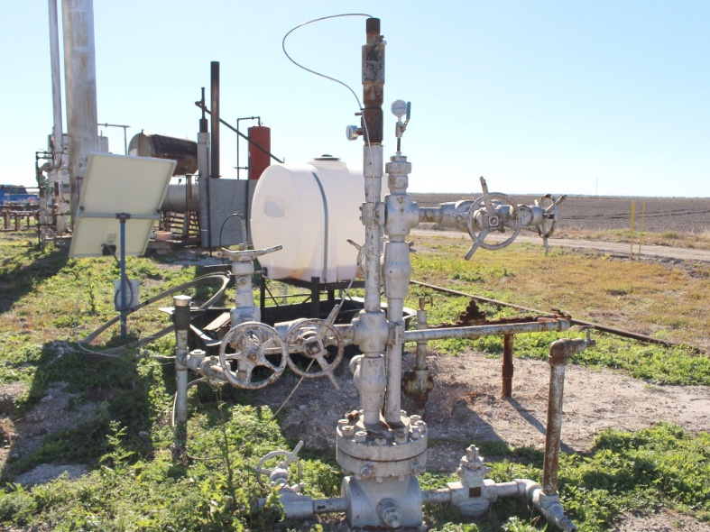 Dual Completed Wellhead in South Texas