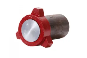 Closure For Pressure Vessel Access Opening