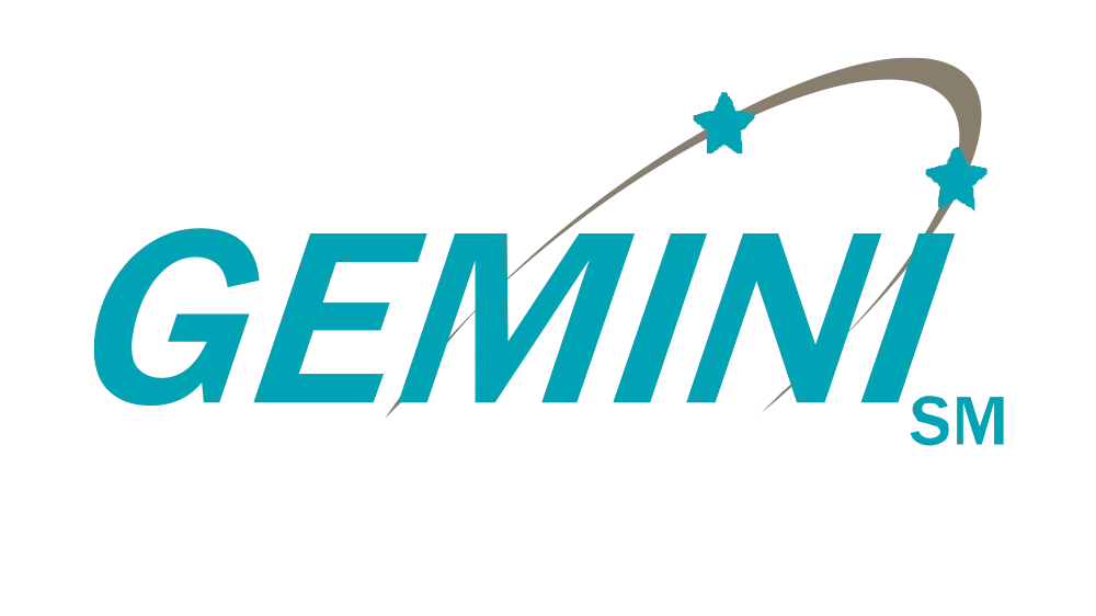 Gemini Enterprises
