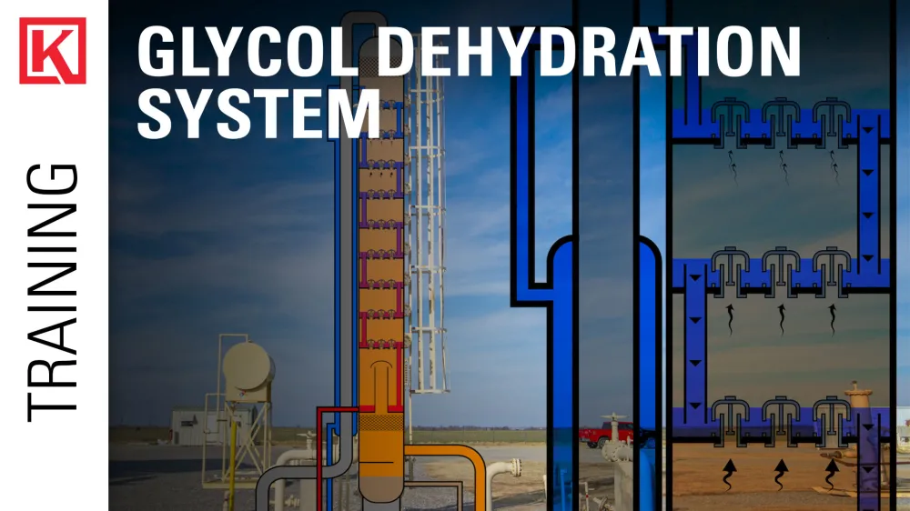 Gas Dehydration System Overview