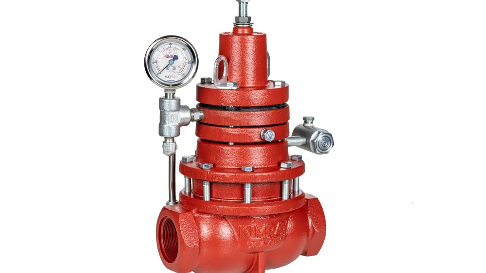 Back Pressure Regulator with Outside Supply