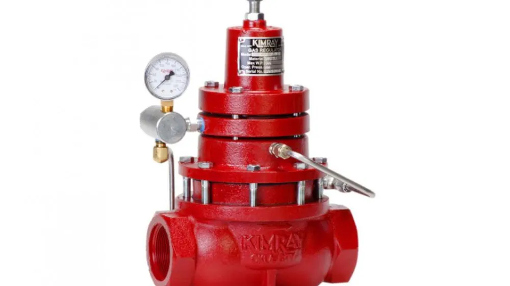 Back Pressure Non-Vent Regulator