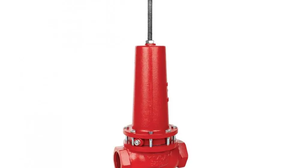 Spring Loaded Back Pressure Regulator