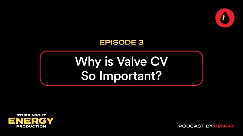 Why is Valve CV So Important? | Podcast Ep. #3