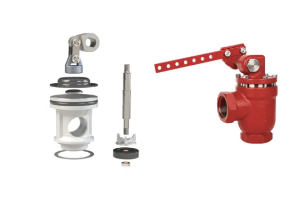 Lever Operated Dump Valve Plug and Cage Assemblies