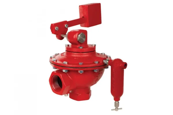 Weight Operated Dump Valves