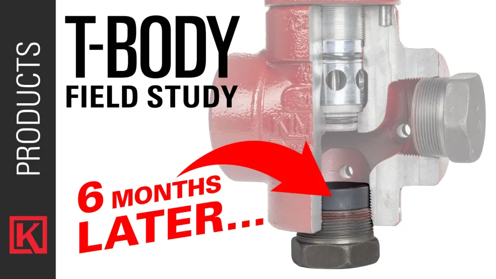 T-Body Field Study 6 Months Later