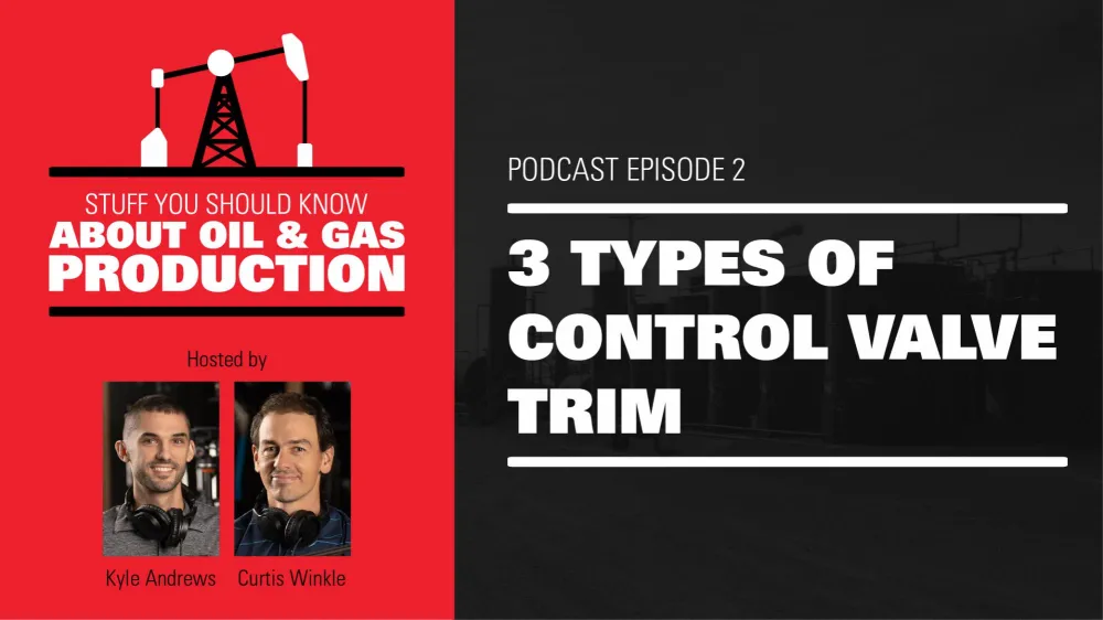 3 Types of Control Valve Trim | Podcast Ep. #2