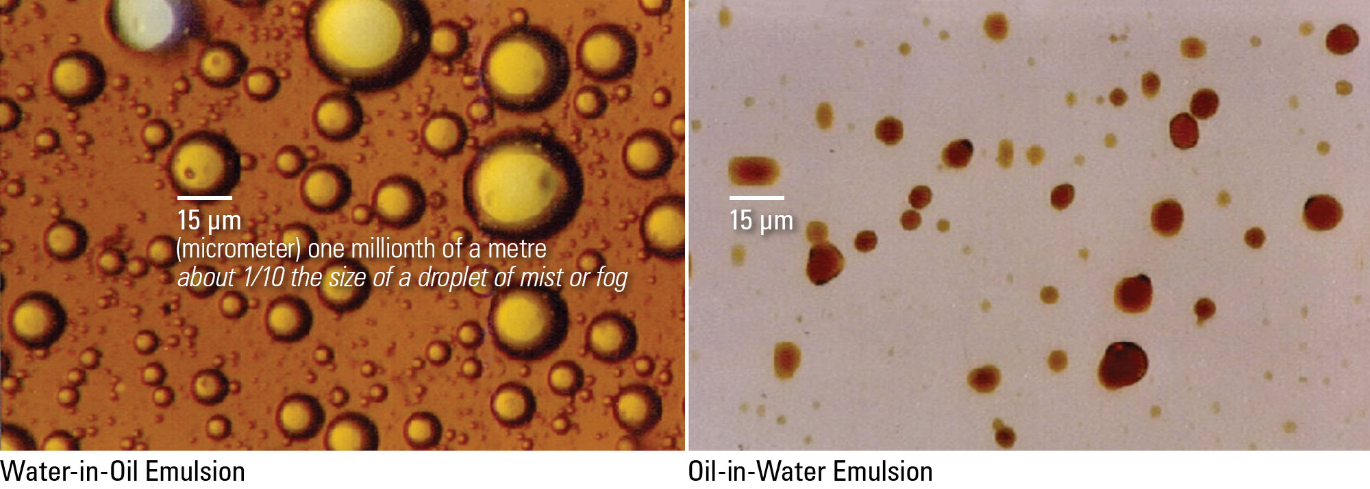 3.2 Water-in-Oil and Oil-in-Water Emulsion Examples