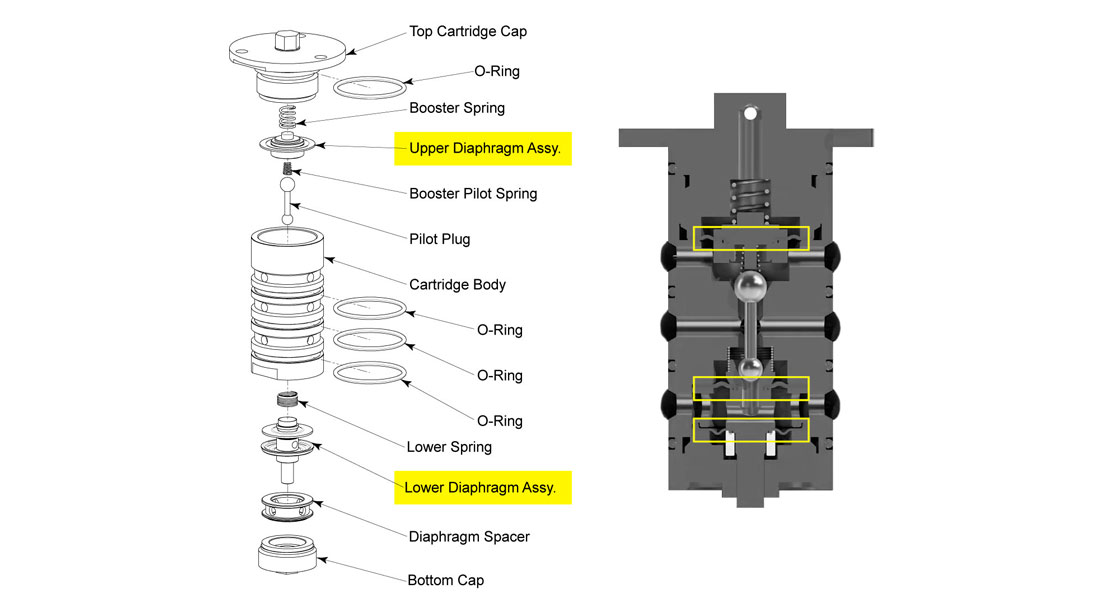 Diaphragms Diagram