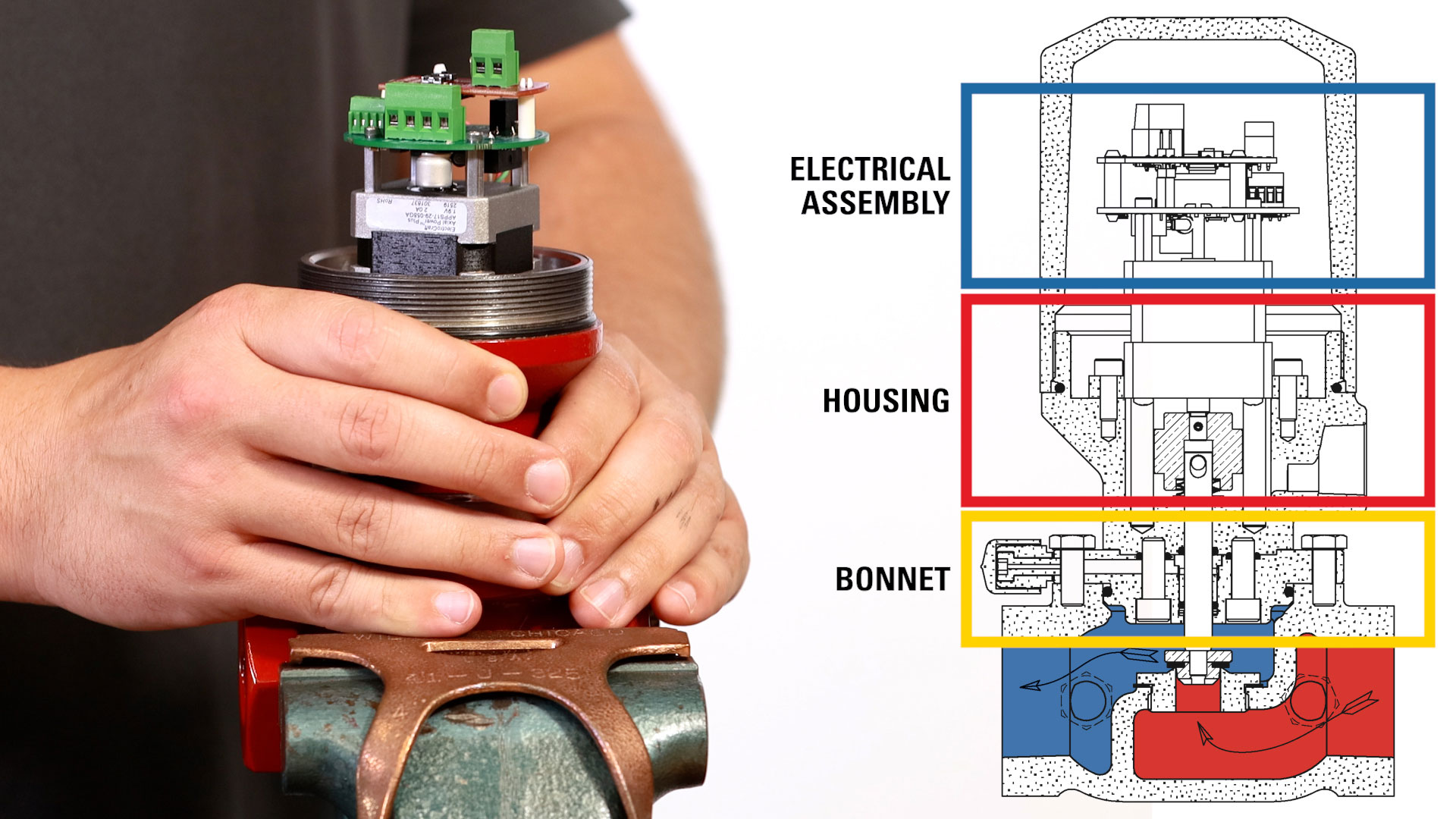 Parts of the Valve