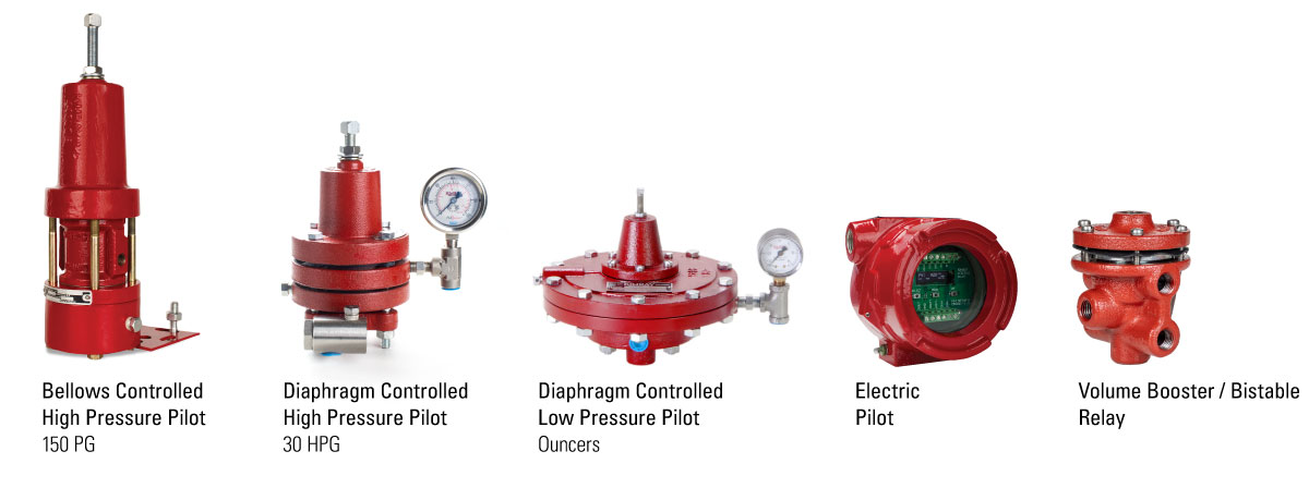 Section P Products