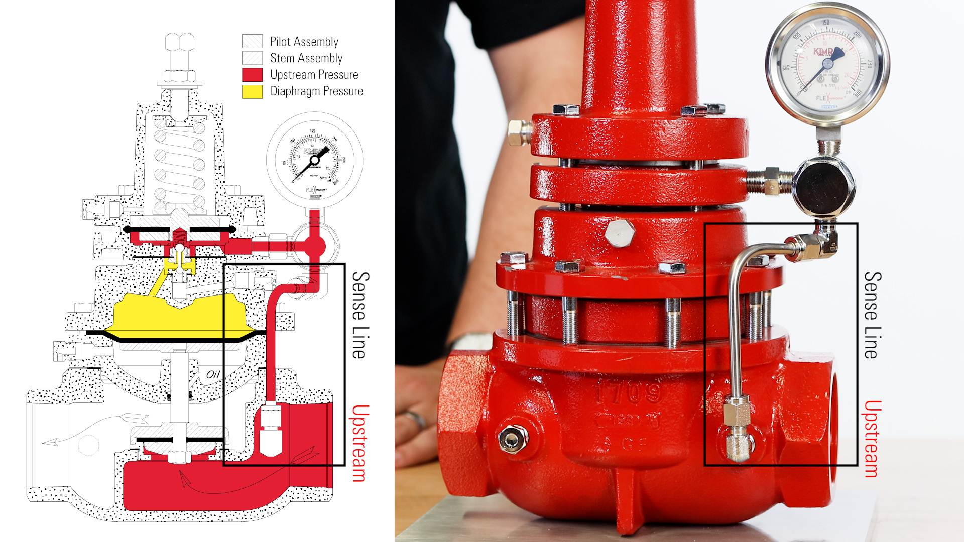 1.1 Back Pressure Regulator Sense Line