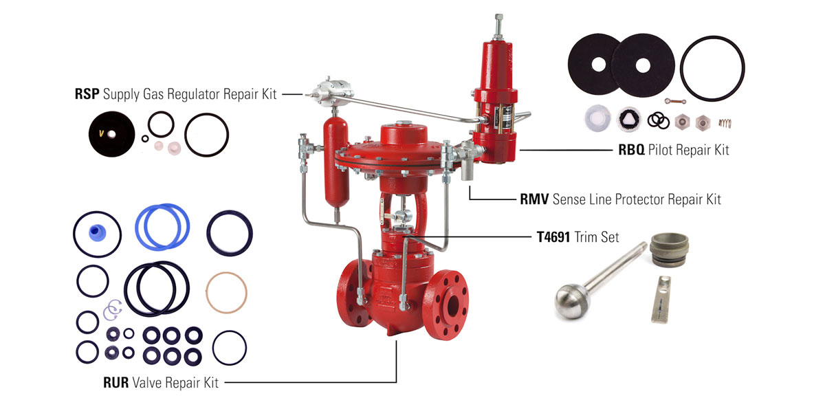 photo of valve package highlighting components and their repair kits with all pieces laid out