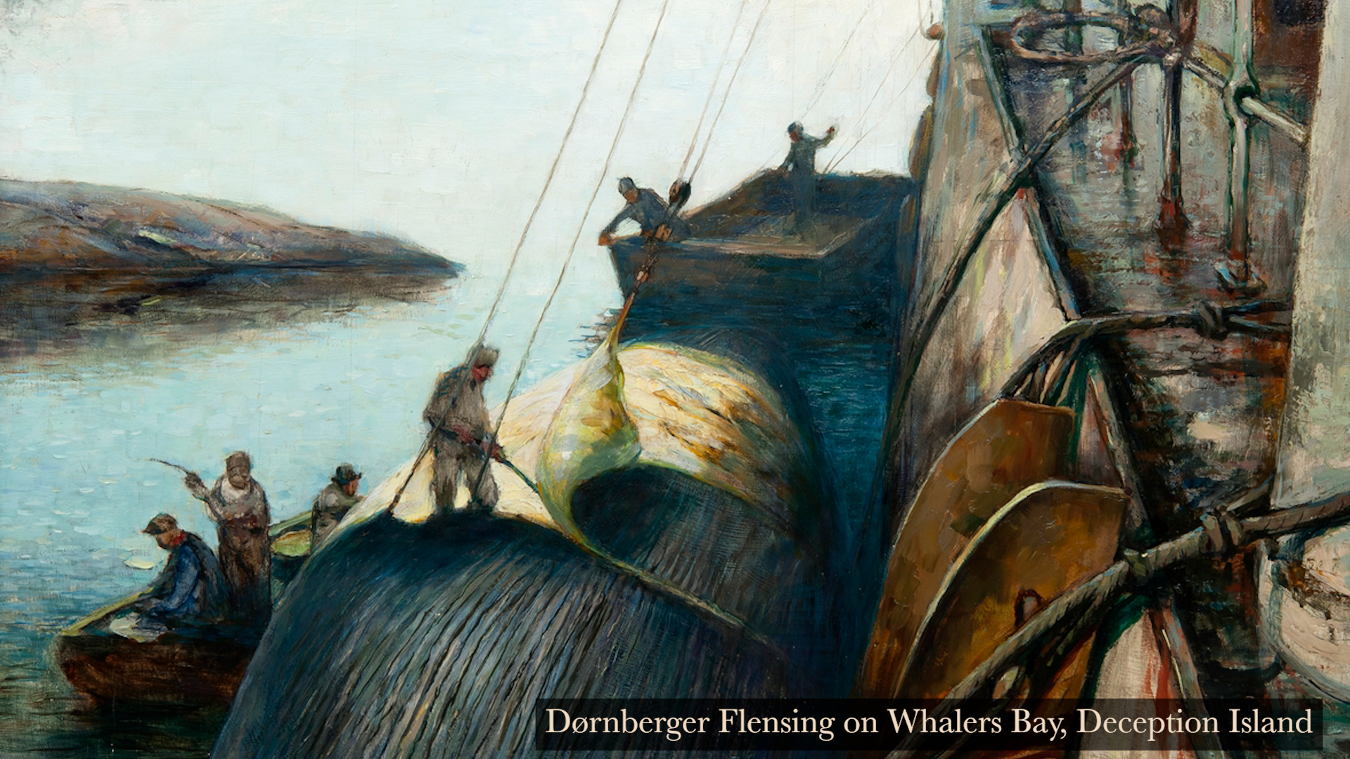 dornberger flensing on whalers bay deception island